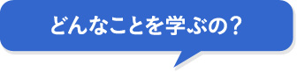 どんなことを学ぶの？